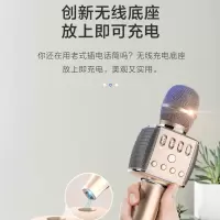 c6话筒音响一体机无线麦克风蓝牙全民k歌唱吧儿童卡拉ok