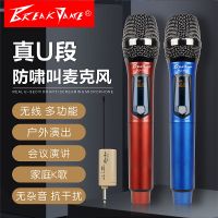 万能无线话筒1拖2麦克风家庭u段充电ktv舞台会议婚庆主持户外音响