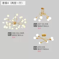 北欧灯具简约现代风格客厅吊灯led餐厅卧室灯饰全屋套装套餐组合|套餐4[两室一厅]白光