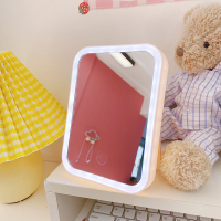 ins风led带灯发光美颜补光化妆镜台式桌面梳妆台网红小镜子女可爱|粉色镜框(单色光)USB充电