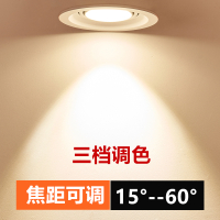 变焦射灯led天花灯家用嵌入式吊顶灯cob筒灯可调焦牛眼孔灯背景墙