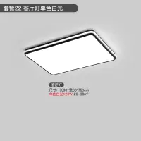 简约现代卧室灯大气家用长方形客厅吸顶灯三室两厅全屋套餐组合灯|套餐22(客厅灯单色白光)