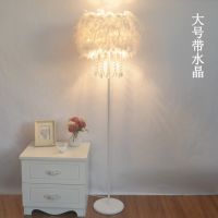 水晶羽毛ins创意落地灯婚庆客厅书房卧室床头台灯美容主播补光灯