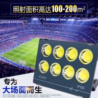 led户外射灯防水投光灯超亮室外广告工程工地仓库厂房照明探照灯