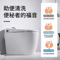 德国智能马桶全自动一体式坐便器家用冲洗烘干即热坐便器脚感