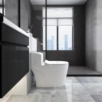 家用抽水马桶坐便器 小卫生间马桶小户型大冲力大管道坐厕