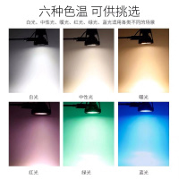 led夹子射灯超亮移动婚庆展示聚光服装店串联珠宝展会插电柜台灯