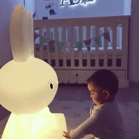 台灯卧室床头灯创意北欧温馨男女孩可爱卡通儿童房护眼落地兔子灯