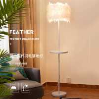 羽毛落地灯卧室网红少女北欧风钓鱼灯客厅床头立式补光茶几灯