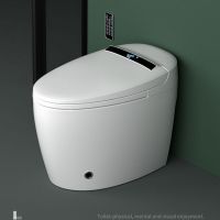 日本智能马桶全自动一体语音家用冲洗烘干即热坐便器脚感冲水