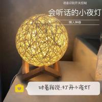 语音小夜灯充电学生宿舍卧室床头喂奶浪漫生日礼物少女装饰星空灯
