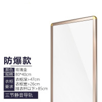 衣柜试衣镜推拉镜子旋转伸缩全身镜衣柜内置隐藏式全身镜欧因