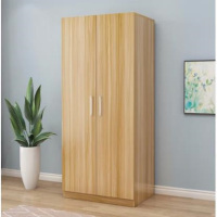 侨蓝登现代简约更衣柜LD-906两门衣柜储物柜