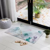 地垫进门入户门家用门垫卧室垫子厨房门口防滑脚垫卫生间吸水地毯