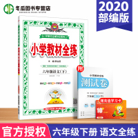 2020 薛金星小学教材全练六年级语文下/6年级下册语文全练 /配套人教版教材 语文教材全解+预习全练 附答案试卷