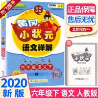 2020新版 黄冈小状元语文详解六年级下册人教版 教材同步字词句段篇讲解 小学6年级下课文解读教材解析课前课后练习辅导资