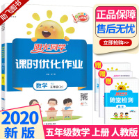 2020秋新版 阳光同学五年级上册数学人教版课时优化作业 小学生5年级上课本教材试卷一线名师课堂同步训练习题册单元期末测