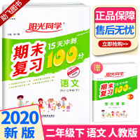 助飞图书]2020新版 阳光同学期末15天冲刺复习100分二年级下册语文人教版 小学生2年级下同步教材专项练习册总复习资