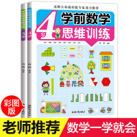 数学思维训练全2册趣味阶梯数学幼儿游戏书幼儿园启蒙早教书3-4-5-6-7岁全脑逻辑大班小学一年级天天练大脑的智力开发儿
