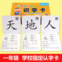 [老师推荐]一年级识字卡片 2019新版人教版语文上册生字卡 小学同步识字卡 无图认字卡片3-5-6-8岁基础识字双面