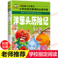 [学校指定版]洋葱头历险记 注音版正版小学生二年级一年级课外书必读三四带拼音的课外阅读书籍 儿童读物7-10岁 文渊新课