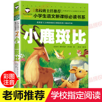 [学校指定版]小鹿斑比 注音版正版 小学生二年级一年级课外书必读三四带拼音的书 课外阅读书籍 儿童读物7-10岁 文渊新
