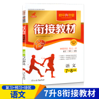 中学生升年级衔接教材七升八年级语文知识大全 练习题 语文7升8年级 复习资料教辅书籍7七年级暑假作业练习册中学生数学试题