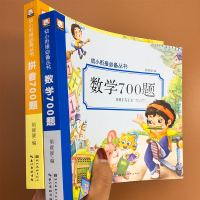 幼小衔接教材拼音+数学全套2本 幼儿园大班学前班练习册一日一练700题幼升小一年级入学准备整合练习题10/20/100以