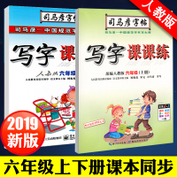 2019正版 司马彦字帖 6六年级字帖钢笔字帖 小学生字帖一课一练同步人教版语文教材临摹正楷 语文写字课课练 六年级下