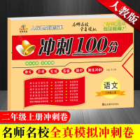 2019正版二年级上册试卷 期末冲刺100分二年级上册语文同步人教版 小学二年级上册语文单元期中期末测试卷 二年级语文上