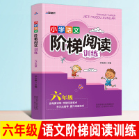 六年级语文阅读理解 小升初 阶梯阅读训练小学六年级语文阅读理解训练题多角度锻炼提高阅读写作能力小学生阅读阶梯训练 六年级