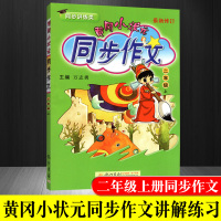 黄冈小状元同步作文二年级上 2019新人教版二2年级上册语文同步作文 小学作文书大全辅导同步阅读 黄冈作文二年级作文起步