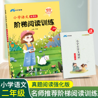 二年级阅读理解训练 新版小学二年级课外书上下全册语文阅读理解专项训练题人教版天天练阅读训练与理解书新课标阶梯阅读二年级