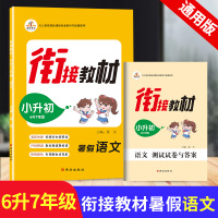 2020新版 小升初暑假衔接教材语文送测试卷 六年级下册暑假作业语文练习册 小学六年级升初中初一七年级语文复习预习