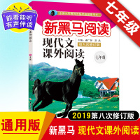 2020正版新黑马阅读7七年级现代文课外阅读 上册下册全 阅读理解专项训练书 人教版 初中语文课外辅导书 初一七年级语文