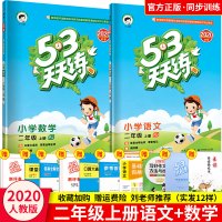 2020秋新版53天天练二年级上册语文数学书练习册同步训练人教版小学试卷全套五三2上学期练习题新课标教材同步复习辅导资料