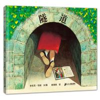 隧道——蒲蒲兰图画书系列少幼儿童家庭亲情商启蒙成长绘本故事图画书籍0-2-3-4-5-6-8岁【安徒生奖】正版