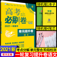 2021新版高考必刷卷单元提升卷语文高考必刷卷语文高考语文试卷高考语文真题模拟冲刺试卷高三高考文科理科一轮总复习辅导资料