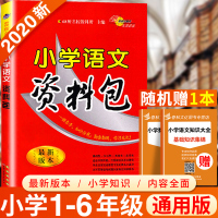 2020新版 小学语文资料包 小学语文知识大全 基础手册 一二三四五六年级小升初辅导资料书 小学语文基础知识大全 小学生