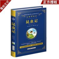 昆虫记 昆虫记法布尔正版 昆虫记无障碍阅读 世界经典文学名著 国外名著小说 昆虫记中小学生青少年版 语文新课标必读名著