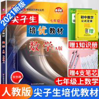 2020秋版新版尖子生培优教材7七年级上册数学A版初一初中生数学同步练习测试题专题训练 辅导教材教辅资料书双色版培优教材