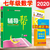 金星教育 2020新版 辅导帮 7年级数学 学生课外辅导书 阶段复习练习 七年级数学 专项辅导 巅峰训练 初一数学练习册