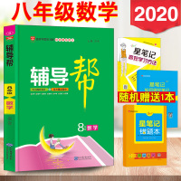 加赠3样 金星教育 2020新版 辅导帮 8年级数学 学生课外辅导阶段复习 八年级数学 专项辅导 巅峰训练 初二教材阶段