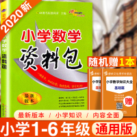 2020新版 小学数学资料包 小学数学知识大全 小学基础手册 一二三四五六年级小升初数学辅导资料书 小学数学知识大全 小