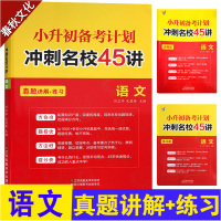 2019新版小升初备考计划 冲刺名校45讲 语文 名校冲刺小升初语文总复习 小学语文知识大全 小升初语文知识大集结 基础