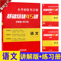 2019新版小升初备考计划 基础培优45讲 语文 讲解版+练习册 精选真题讲解 小升初语文 小学知识大全 小学语文基础知