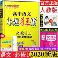 2020新版恩波教育高中小题狂做语文必修1一人教版高一语文同步辅导资料书高中语文同步练习册教材同步小练高中语文练习题