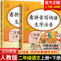 注音版2020新版看拼音写词语生字拼音二年级上册下册全套2本小学2年级语文课堂同步训练练习册一课一练小学二年级语文书同步