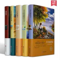 5本 苦儿流浪记/三个火枪手/少年维特的烦恼/神秘岛/尼尔斯骑鹅旅行记(精装全译本)世界名著 经典文学小说全集图书