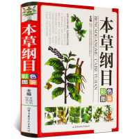 本草纲目彩色图鉴彩图版图解中草药中药材图谱手绘图精选300余种常用中药材中医养生保健本草纲目中医学入门图书籍